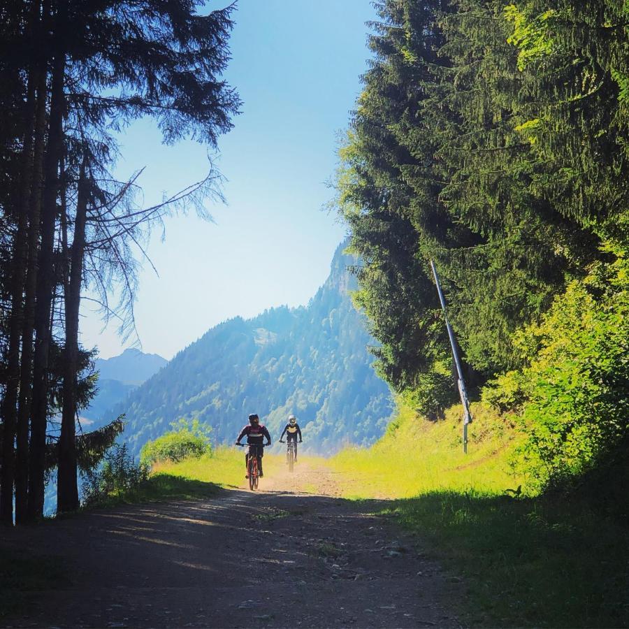 'petite Ferme Les Bouts' Apartment, Sleeps 6, Nr Morzine