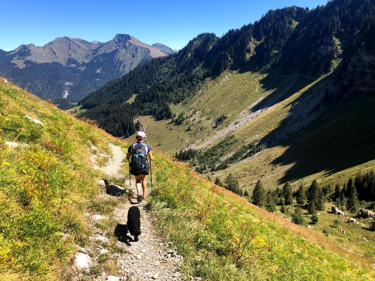 'petite Ferme Les Bouts' Apartment, Sleeps 6, Nr Morzine *