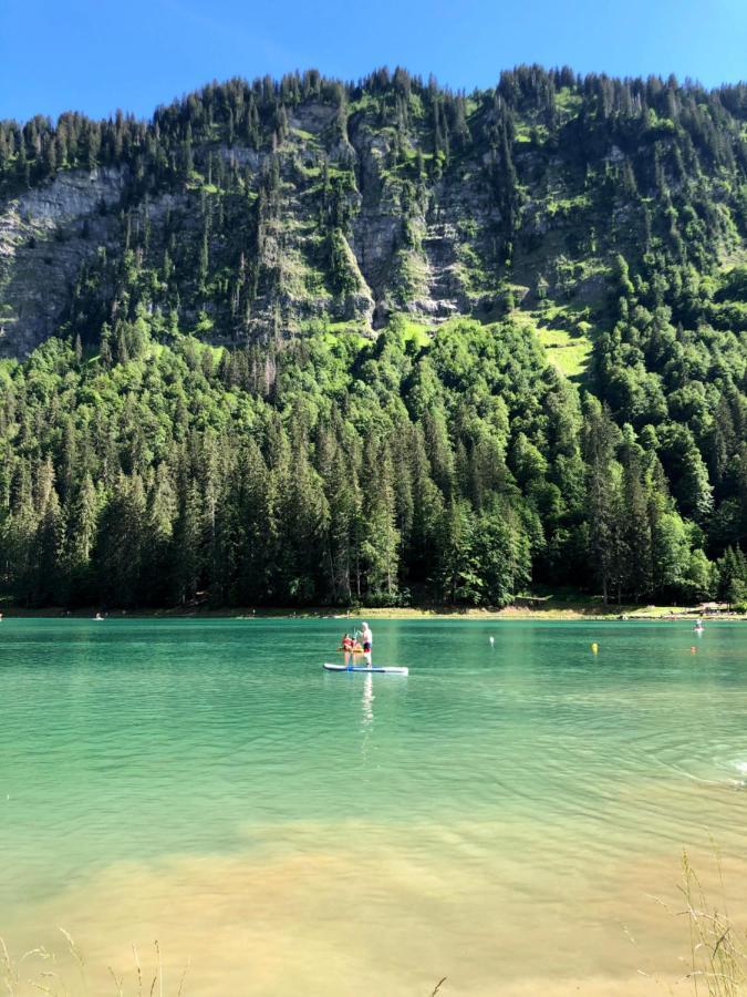 'petite Ferme Les Bouts' Apartment, Sleeps 6, Nr Morzine Holiday home La Cote d'Arbroz