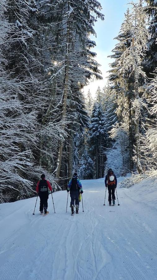 'petite Ferme Les Bouts' Apartment, Sleeps 6, Nr Morzine La Cote d'Arbroz