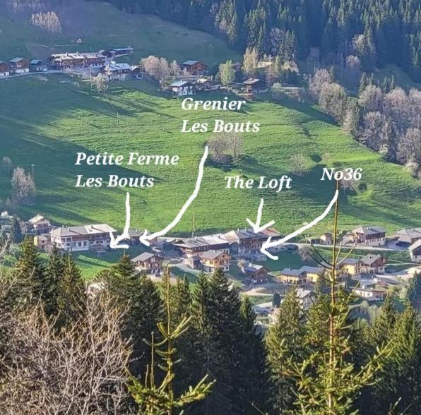 'petite Ferme Les Bouts' Apartment, Sleeps 6, Nr Morzine *